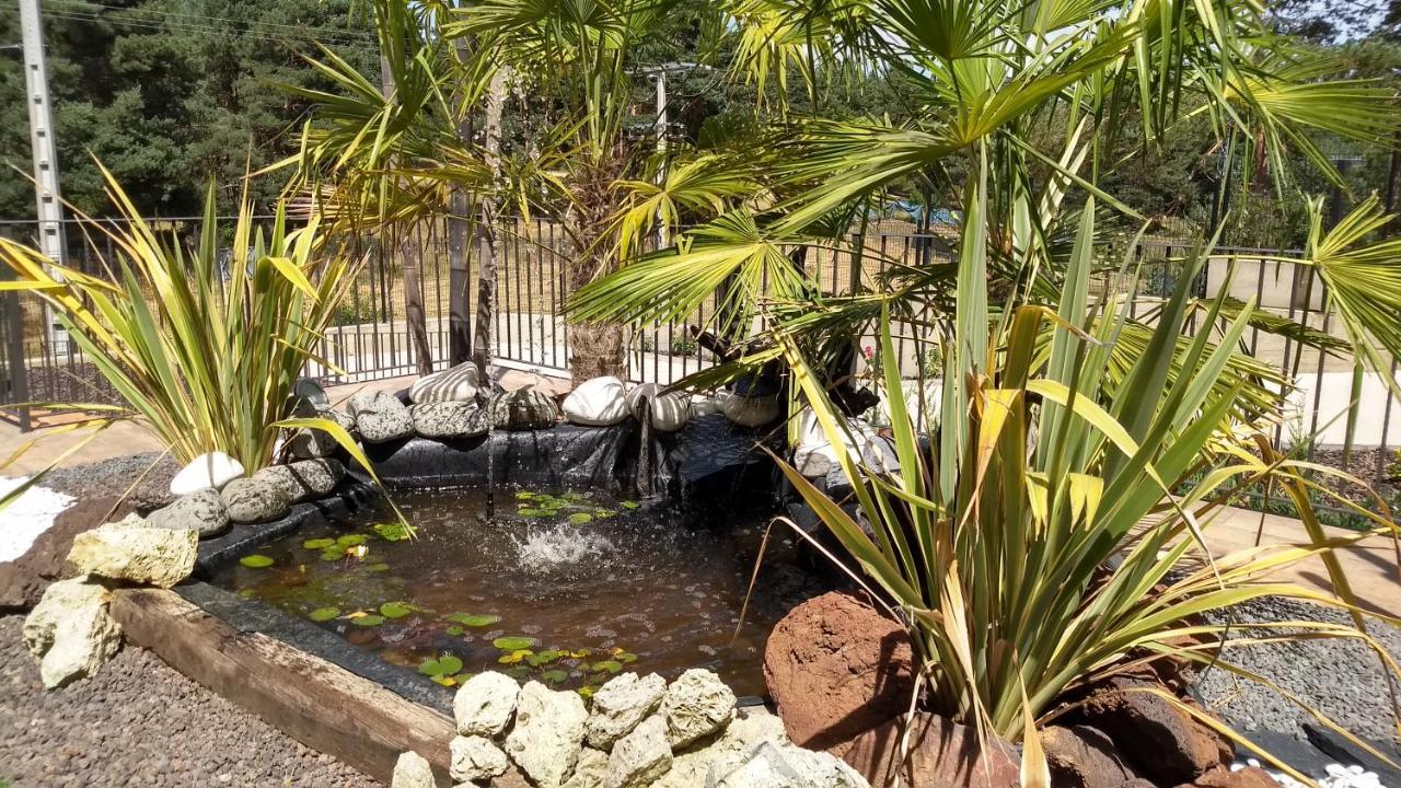 Hotel Rural El Nido De Pinares Navaleno Εξωτερικό φωτογραφία